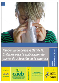 Thumb 9.jornada pandemia gripe a. pm mhn ibz  