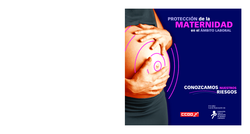 Thumb folleto. protecci%c3%b3n de la maternidad en el %c3%a1mbito laboral 
