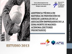 Thumb estudio 2013. asistencia t%c3%a9cnica en materia de prl de acenoma. sectores prioritarios 